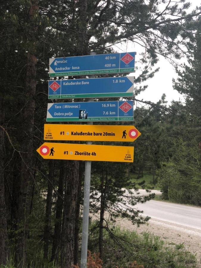Vikendica Maksimovic - Tara - Primamo Vaucere Villa Kaludjerske Bare Eksteriør billede